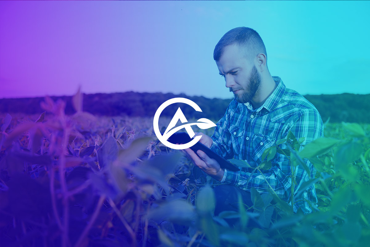CotaAgro